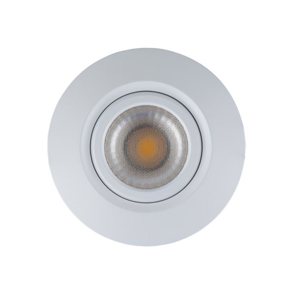 White LED Downlight with prismatic lens
